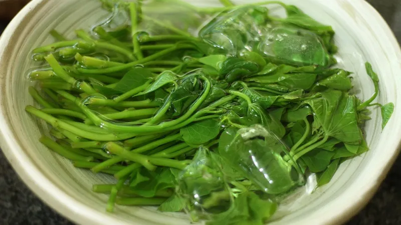 Cách chọn rau cải răng lược tươi ngon và an toàn, đảm bảo dinh dưỡng cho bữa ăn